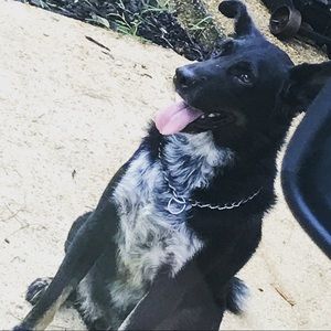 Meet your Posher, Greg